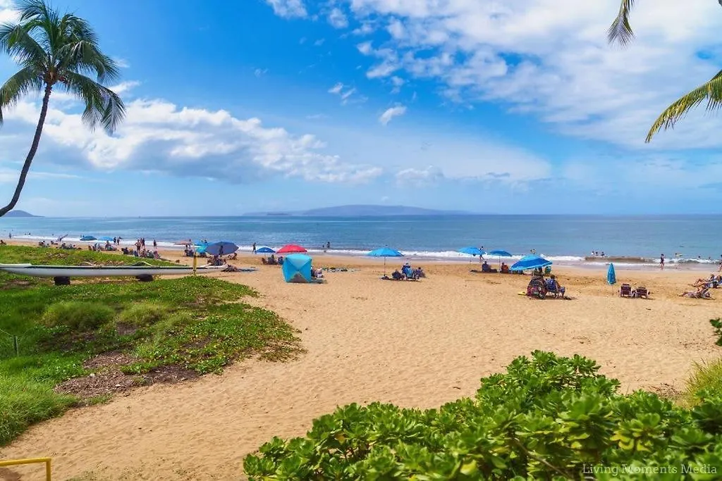 Spacious Beachfront — Sleeps 6 — Ocean Views Kihei 0*,